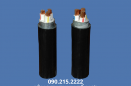 Cáp ngầm hạ thế Cadivi Hà Nội chính hãng, giá cạnh tranh