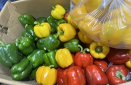 Công ty cung cấp nông sản sạch tươi ngon mỗi ngày