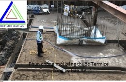 Dịch vụ diệt mối cho công trình xây dựng chuyên nghiệp