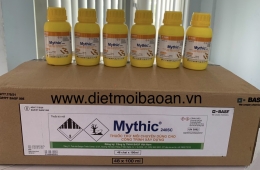 Diệt mối phường Bình Thới – Có mặt nhanh, xử lý tận gốc