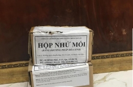 Dịch vụ diệt mối phường Phú Định uy tín, xử lý triệt để