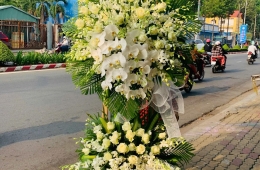 Đặt hoa đám tang màu trắng – Thể hiện sự tiếc thương sâu sắc