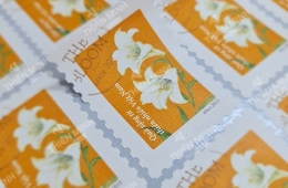 Địa chỉ in decal tem nhãn giá rẻ, chất lượng cao