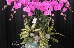 Đơn vị trang trí lan hồ điệp sự kiện chuyên nghiệp