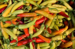 Liên hệ 0909 642 334 để mua sỉ rau củ Đà Lạt giá tốt