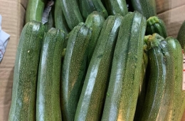 Nguồn nông sản Đà Lạt HCM sạch, an toàn, giá rẻ