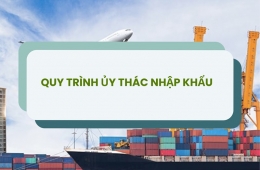 Quy trình ủy thác nhập khẩu gồm những bước nào?