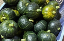 Mua rau củ quả sỉ chợ đầu mối - Tươi ngon, giá sỉ