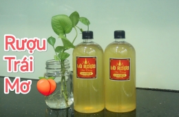 Rượu ngâm hoa quả bao nhiêu độ? Địa chỉ mua uy tín