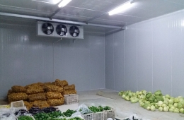 Dịch vụ thi công kho lạnh Lâm Đồng nhanh nhất