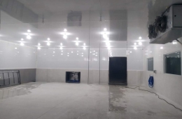 Nơi bán trần nhựa chịu axít uy tín, vật liệu đạt chuẩn