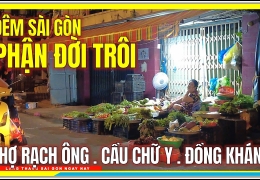 Đêm Sài Gòn PHẬN ĐỜI TRÔI | Chợ Rạch Ông, Cầu Chữ Y & Đồng Khánh | Cuộc Sống Sài Gòn Ngày Nay